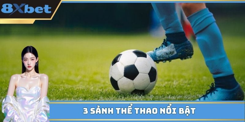 3 sảnh thể thao nổi bật 
